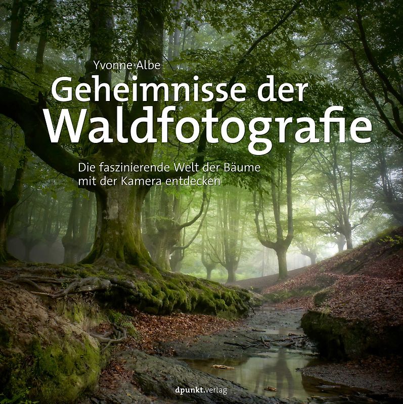 Geheimnisse der Waldfotografie