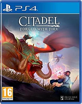 Citadel Forged With Fire [UK Import] PlayStation 4