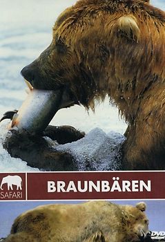 Safari: Braunbären DVD