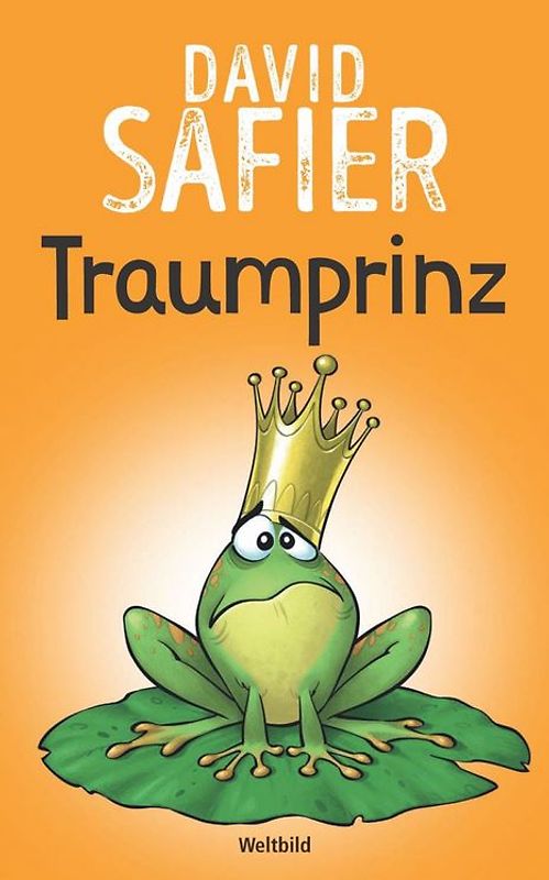 Traumprinz - David Safier [Broschiert]