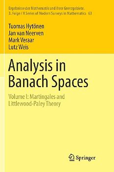 Analysis in Banach Spaces