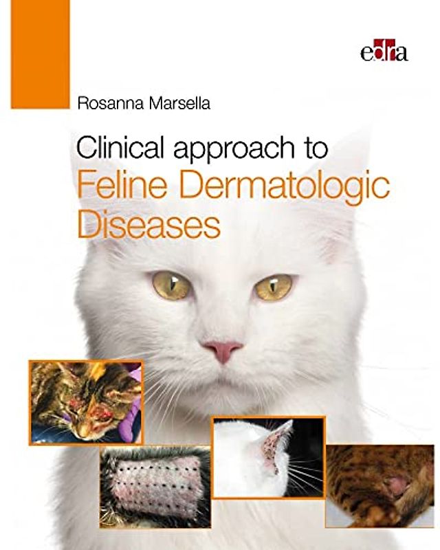 Clinical Approach to Feline Dermatologic Diseases