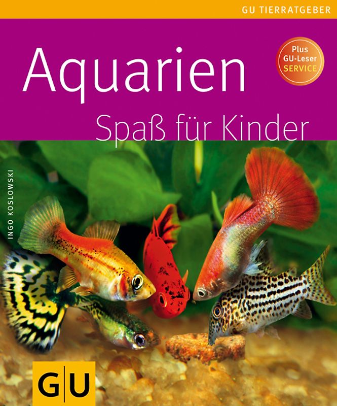 Aquarien Spaß für Kinder