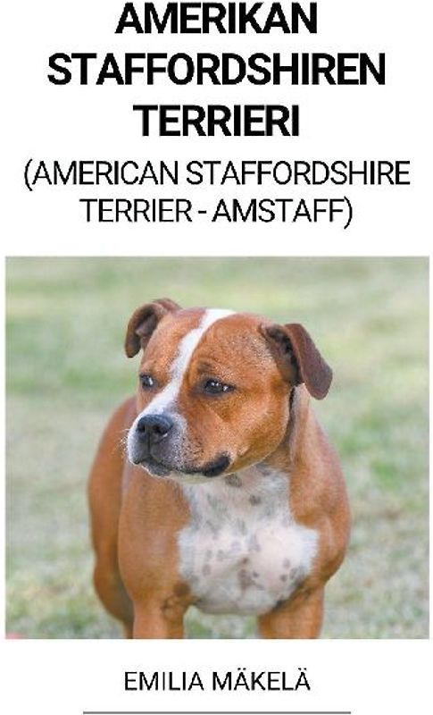 Amerikan Staffordshiren Terrieri (American Staffordshire Terrier -Amstaff)