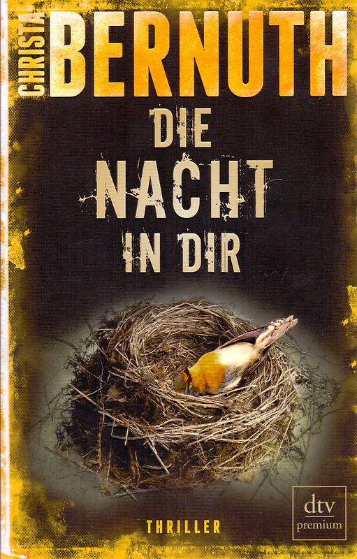 Die Nacht in dir