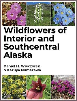 Wildflowers of Interior and Southcentral Alaska