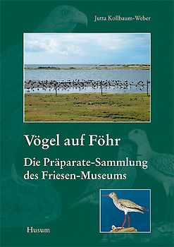 Vögel auf Föhr