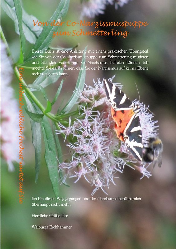 Von der Co-Narzissmuspuppe zum Schmetterling