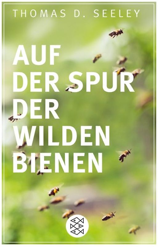 Auf der Spur der wilden Bienen
