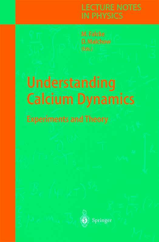 Understanding Calcium Dynamics