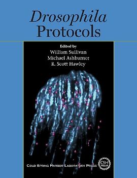 Drosophila Protocols