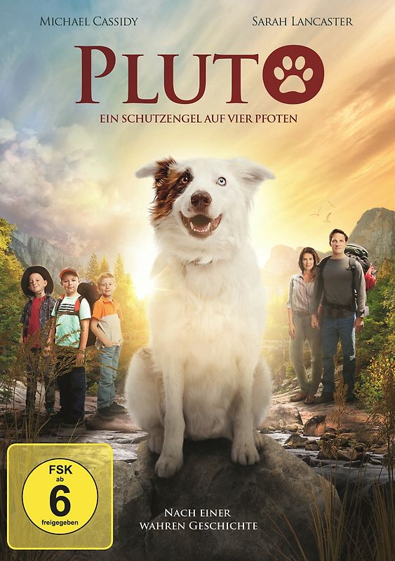 Pluto-Ein Schutzengel auf vier Pfoten DVD