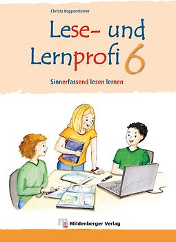 Lese- und Lernprofi 6 – Arbeitsheft – silbierte Ausgabe