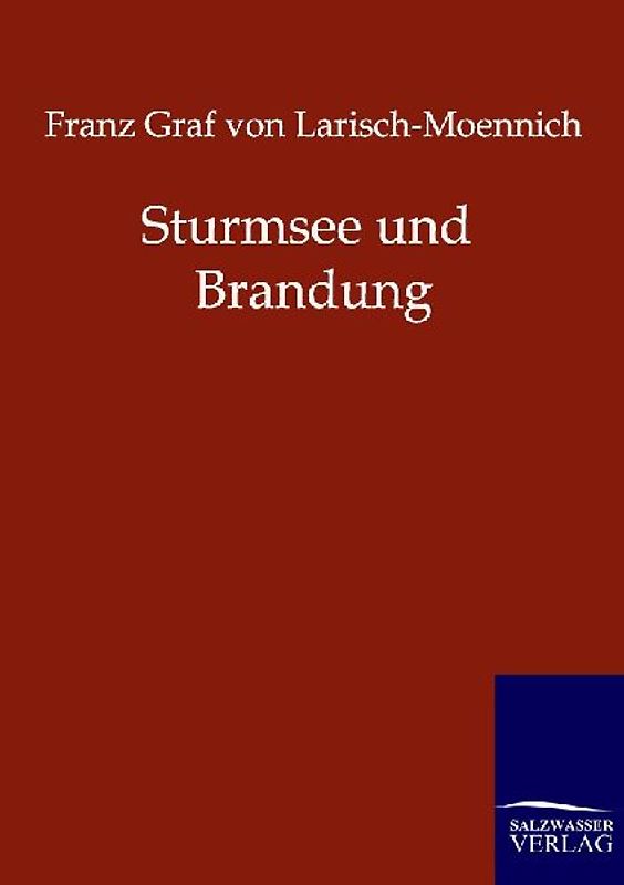 Sturmsee und Brandung