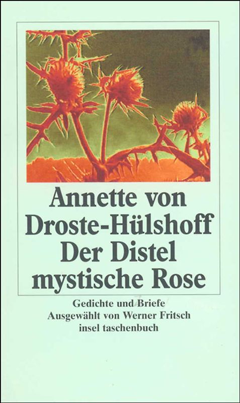 Der Distel mystische Rose