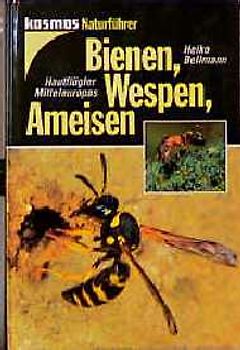 Bienen, Wespen, Ameisen. Hautflügler Mitteleuropas