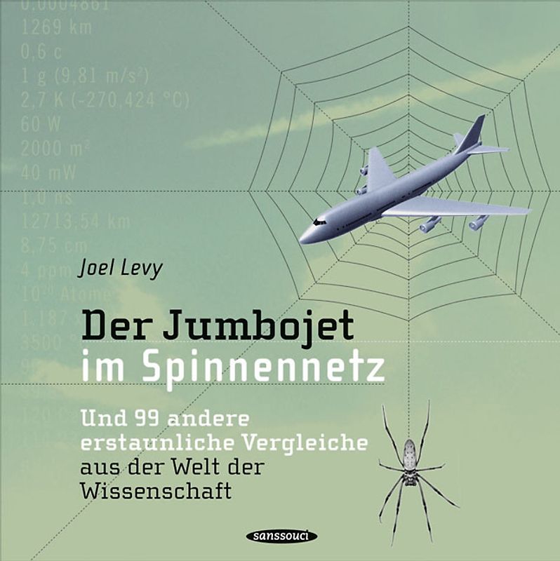 Der Jumbojet im Spinnennetz