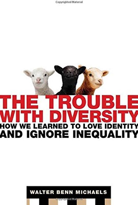The Trouble With Diversity: How We Learned to Love Identity and Ignore Inequality