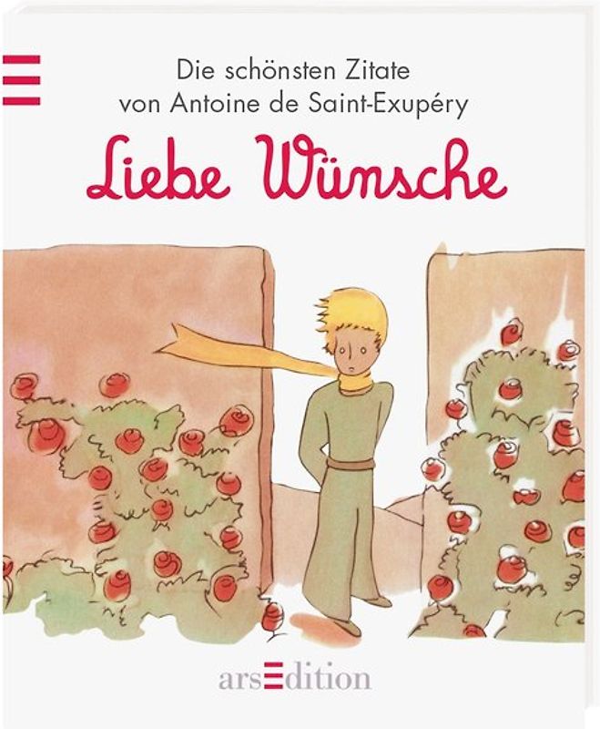 Der Kleine Prinz Liebe Wünsche