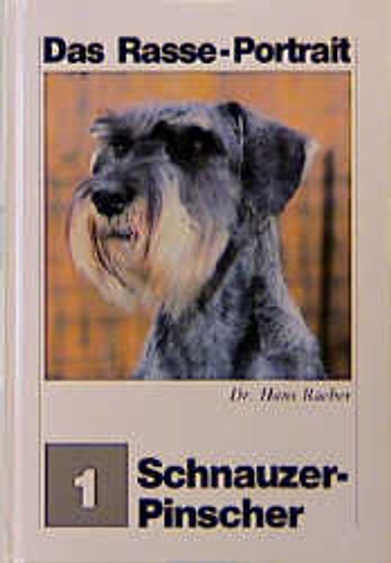 Das Schnauzer-Pinscher-Portrait