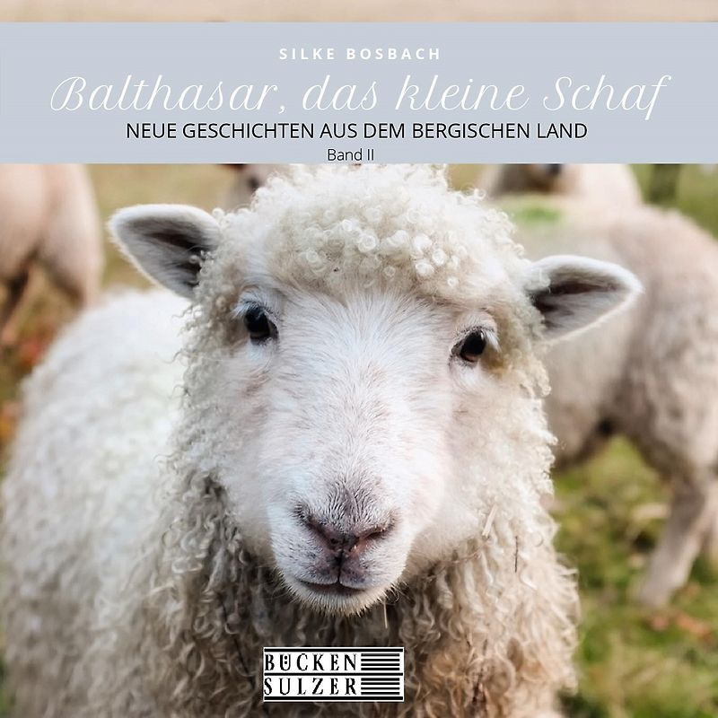 Balthasar, das kleine Schaf