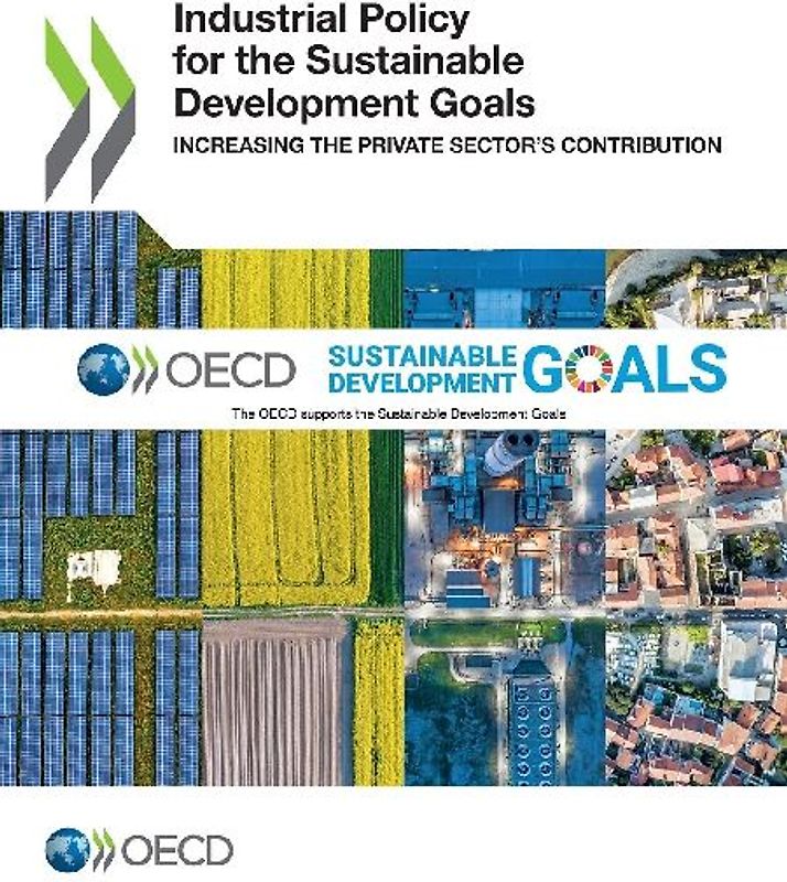 Industrial Policy for the Sustainable Development Goals