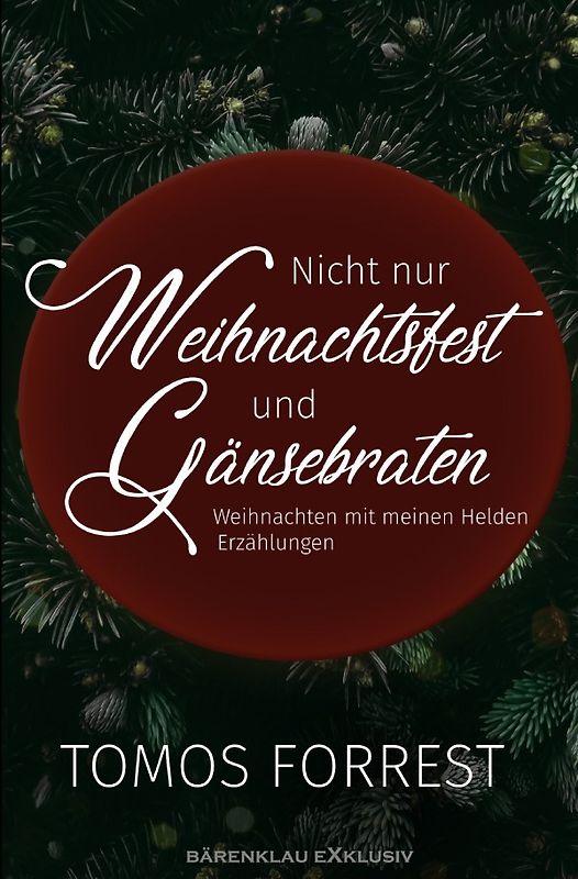 Nicht nur Weihnachtsfest und Gänsebraten – Weihnachten mit meinen Helden