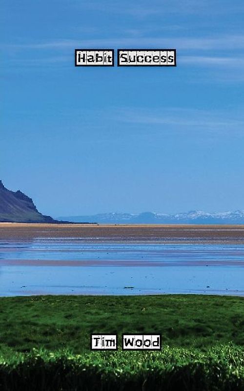 Habit Success