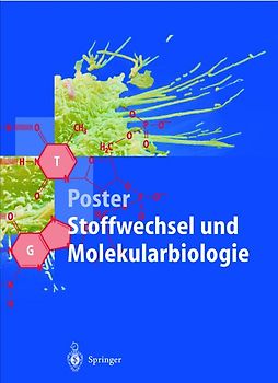 Poster Stoffwechsel und Molekularbiologie