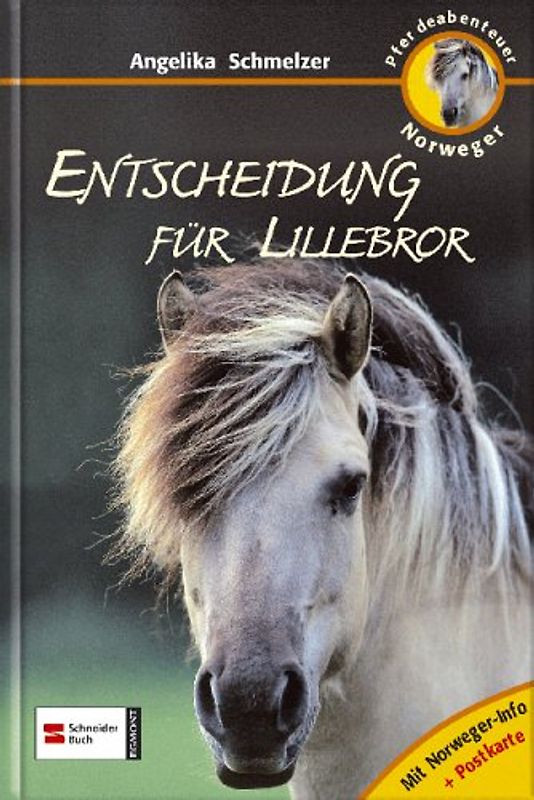 Pferdeabenteuer - Norweger. Entscheidung für Lillebror