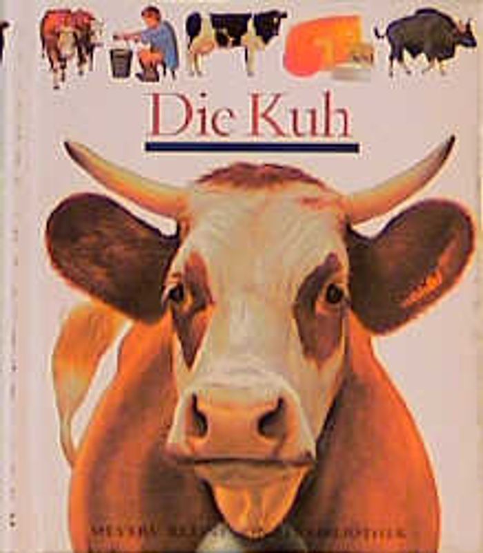 Die Kuh