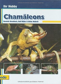 Ihr Hobby Chamäleons