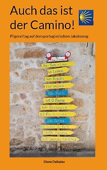 Auch das ist der Camino!