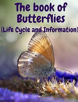 The book of Butterflies: (Life Cycle and Information)