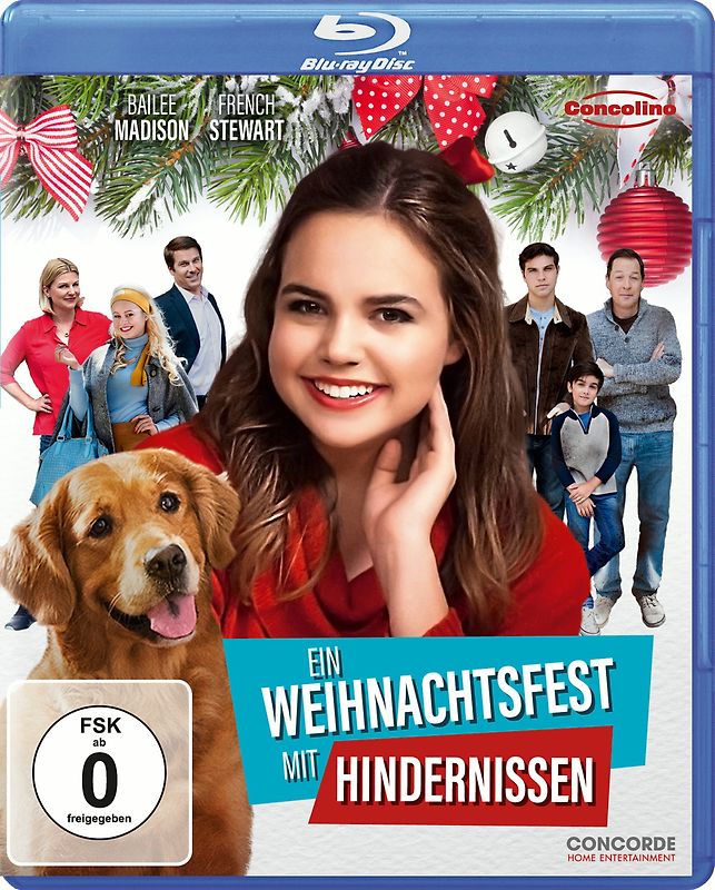Ein Weihnachtsfest mit Hindernissen Blu-ray Disc