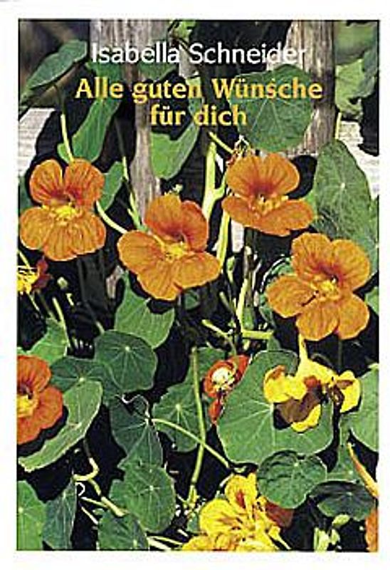 Alle guten Wünsche für dich