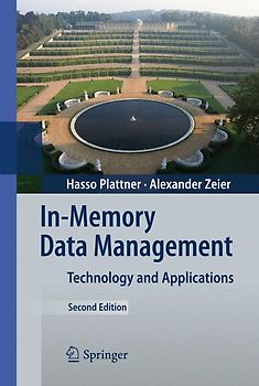 In-Memory Data Management