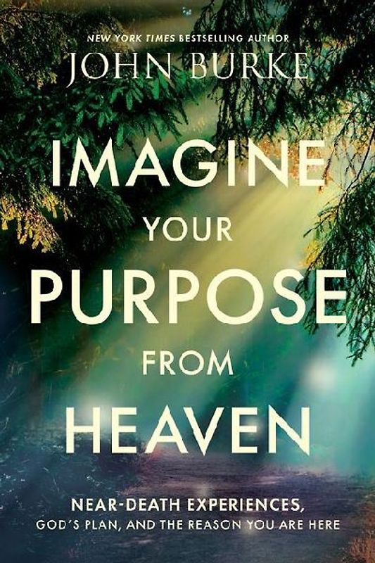 Imagine Your Purpose from Heaven