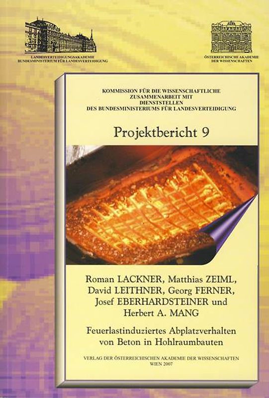 Projektbericht 9 Feuerlastinduziertes Abplatzverhalten von Beton in Hohlraumbauten