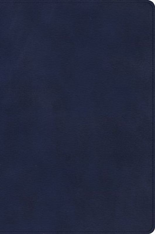 CSB Rainbow Study Bible, Navy Leathertouch
