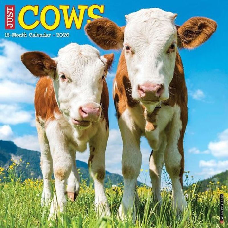Cows 2026 12 X 12 Wall Calendar