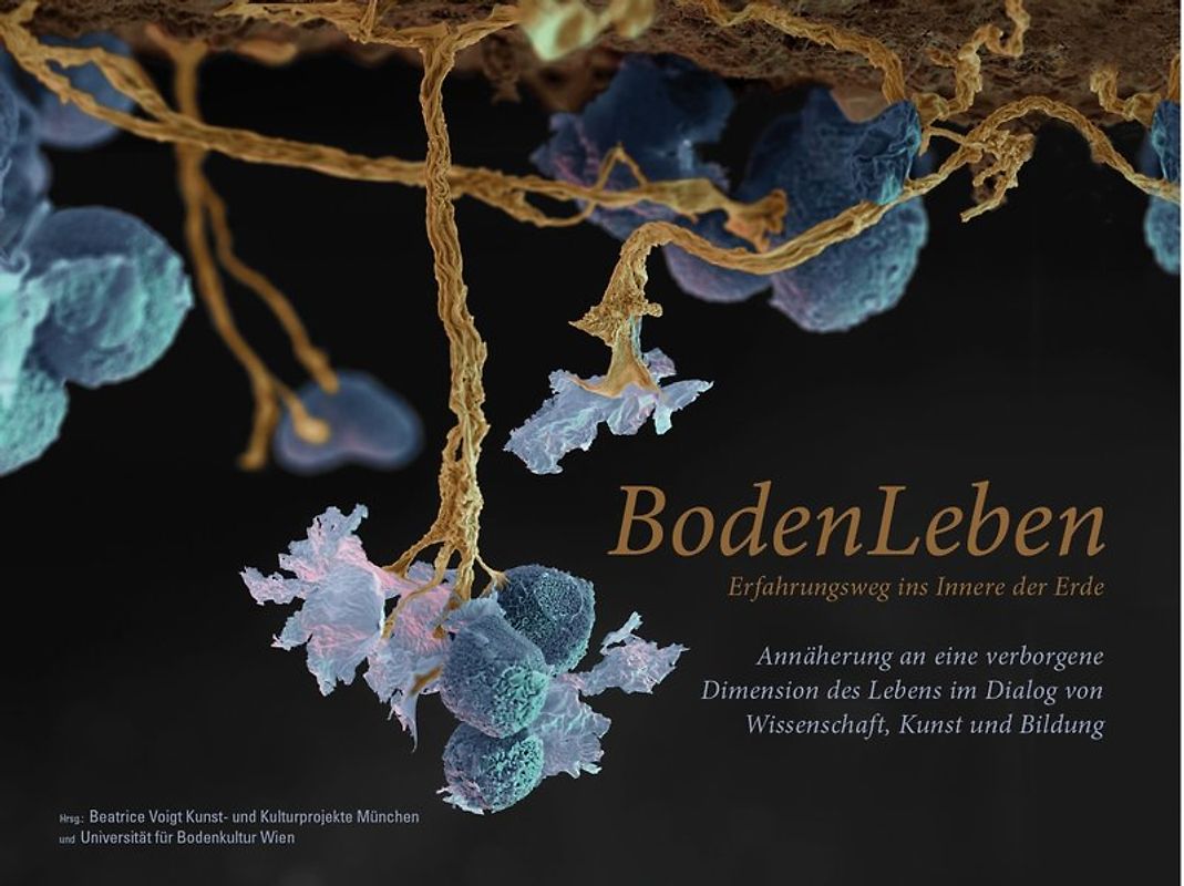 BodenLeben - Erfahrungsweg ins Innere der Erde