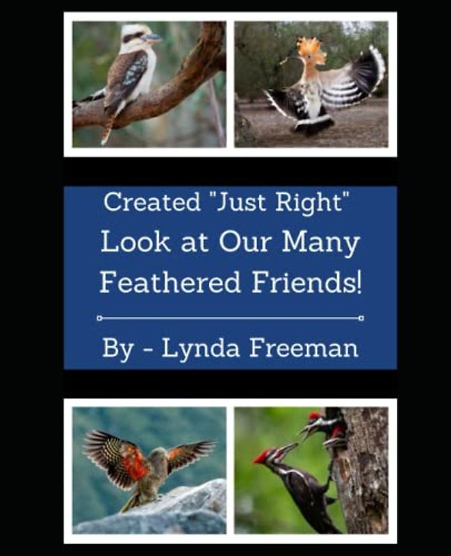 Created "Just Right" - Look at Our Many Feathered Friends!