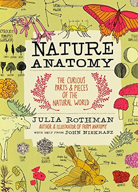 Nature Anatomy: The Curious Parts and Pieces of the Natural World - Rothman, Julia