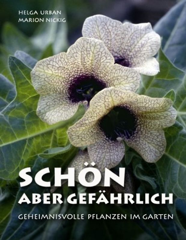 Schön, aber gefährlich