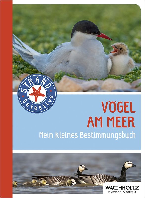 Vögel am Meer