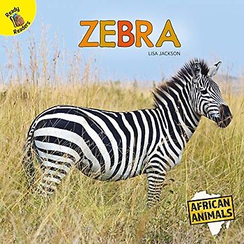 Zebra (African Animals)