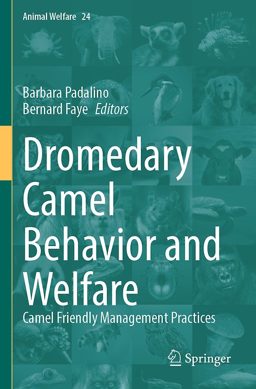 Dromedary Camel Behavior and Welfare
