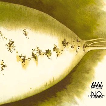 Lambchop - Aw C'mon / No You C'mon