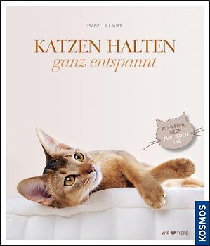 Katzen halten, ganz entspannt